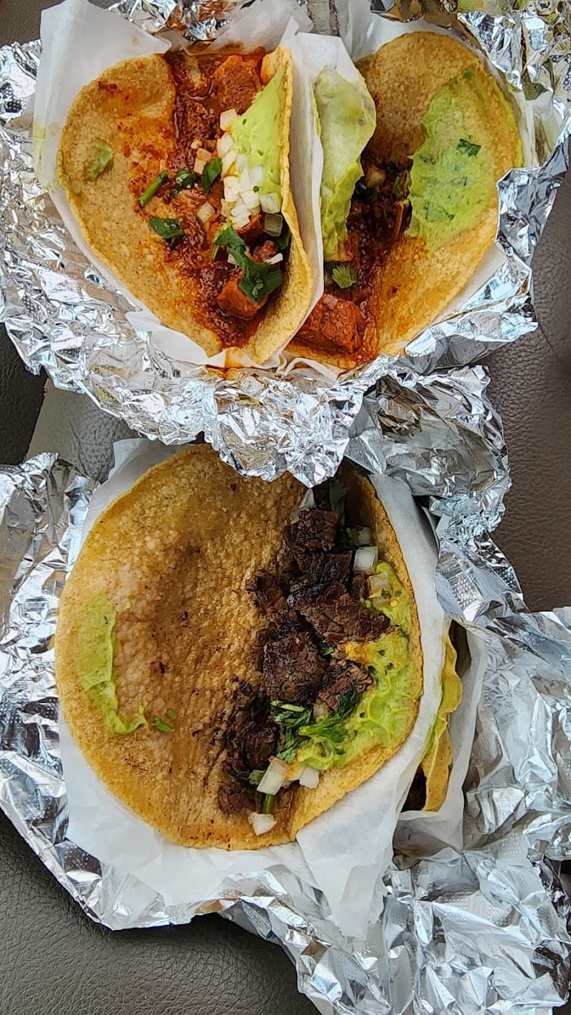 Taco 66 photo 2