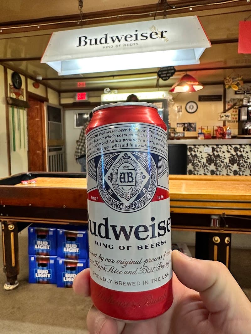 Dobbie's Bar photo 3