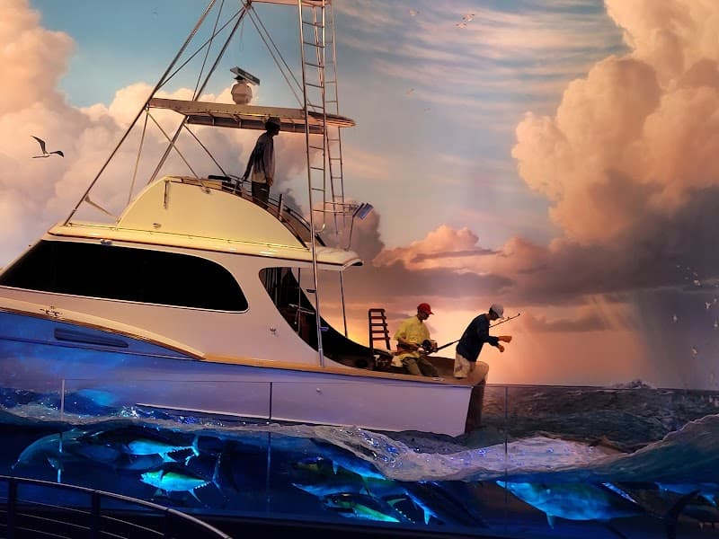 Wonders Of Wildlife National Museum & Aquarium photo 6